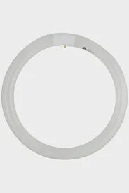 T5 Fluorescent Circline 22w G10q 4000 K