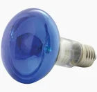R80 60w Blue Bulb e27