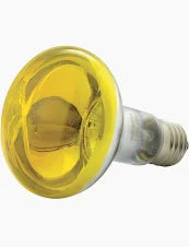 R80 60w Yellow Bulb e27
