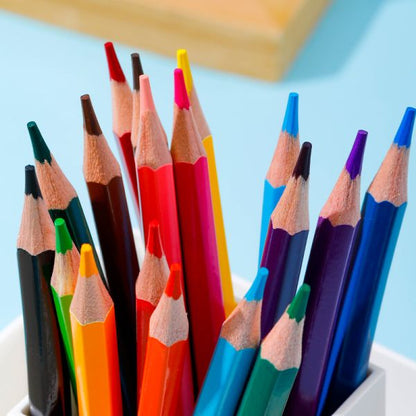 Spongebob Colored Pencils 24 Colors Hexagonal Barrel Full Length