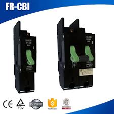 CBI Isolator Sf- 2 Pole 100A 6kA 240V