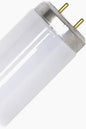 20 Watt Cool White T12 Fluorescent Tube Light Bulb 24 Inch Lamp 20W F20T12 4100K