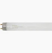 Cool White G13 15W T8 Fluorescent