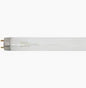 Cool White G13 15W T8 Fluorescent